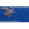 Eden Catamaran (3 Hours) Charter
